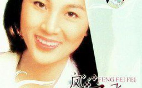 凤飞飞歌曲:总有一天等到你歌词