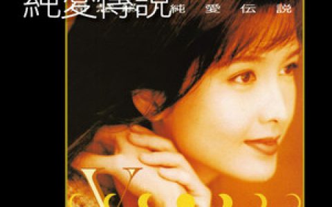 周慧敏歌曲:天荒爱未老歌词