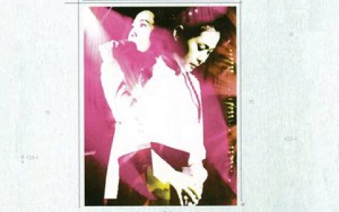 刘若英歌曲:我曾爱过一个男孩歌词