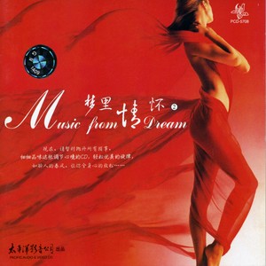 毛宁歌曲:涛声依旧歌词