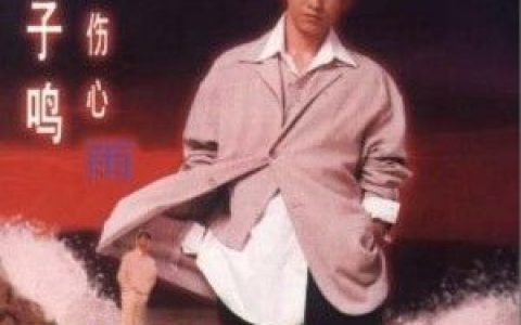 王子鸣歌曲:伤心雨歌词