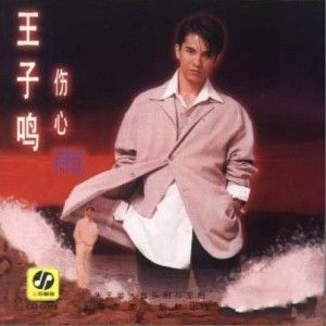 王子鸣歌曲:伤心雨歌词
