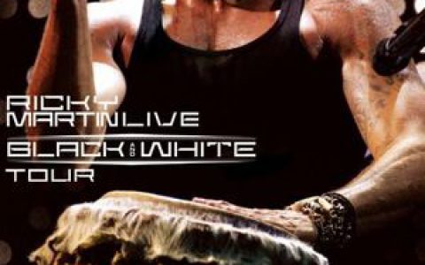 Ricky Martin歌曲:Livin  La Vida Loca歌词