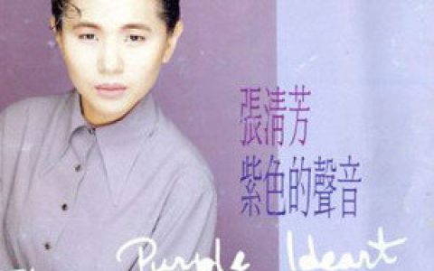 张清芳歌曲:不想你也难歌词
