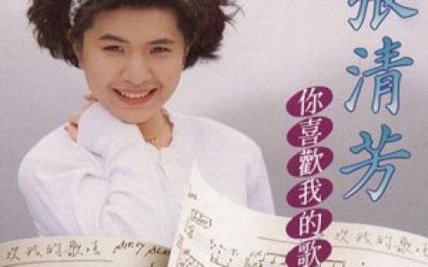 张清芳歌曲:你喜欢我的歌吗歌词