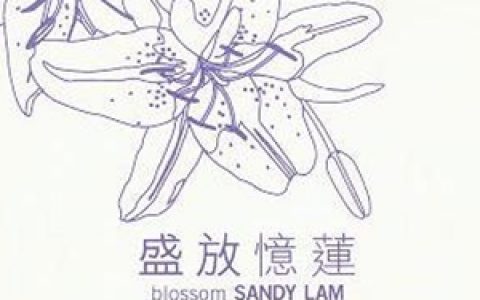 林忆莲歌曲:你是我的男人歌词