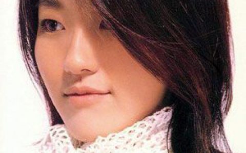 蔡淳佳歌曲:想家歌词