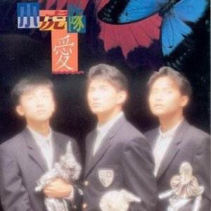 小虎队歌曲:蝴蝶飞呀歌词
