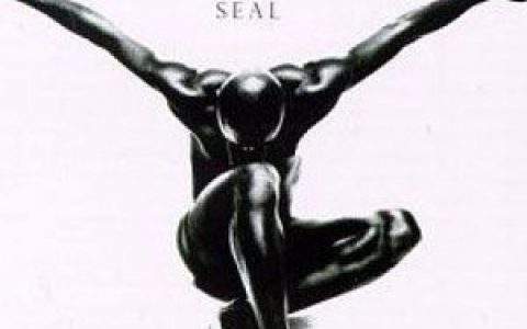Seal歌曲:Fast Changs歌词