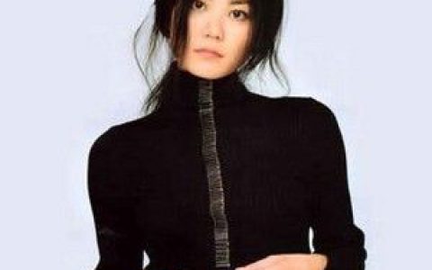 王菲歌曲:新房客歌词
