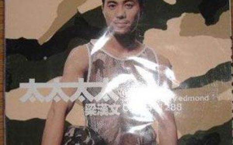 梁汉文歌曲:如泣如诉歌词