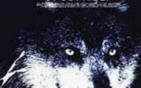 Ghost Wolf歌曲:Weshemoneto 这个时刻歌词