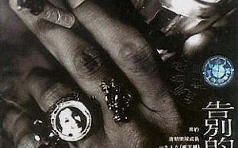 告别的摇滚歌曲:路边的野花不要采(臧天朔)歌词