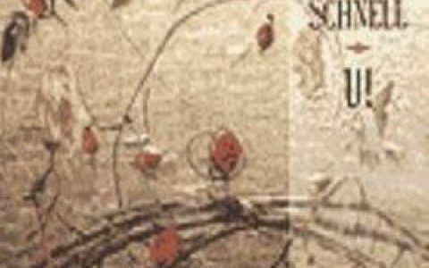 Carsten Schnell歌曲:Walking And Thinking歌词