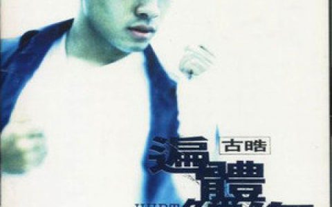 古皓歌曲:爱情没有那么美歌词