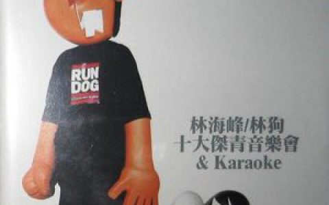 林海峰歌曲:那个下午我在旧屋烧炭歌词