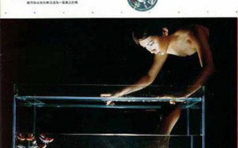 阮丹青歌曲:雾歌词