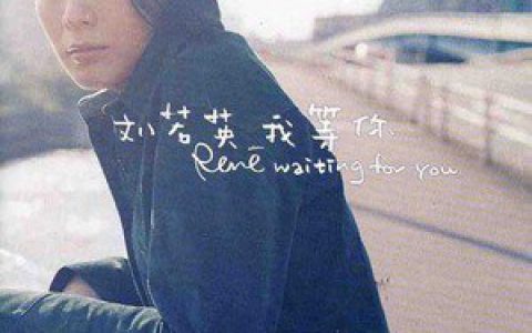 刘若英歌曲:对白歌词