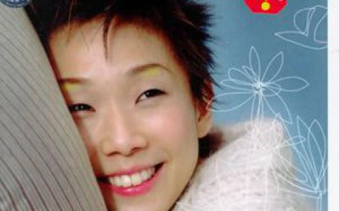 林忆莲歌曲:明明歌词