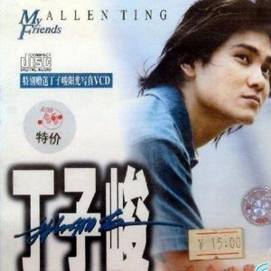 丁子峻歌曲:可惜你爱的不是我歌词