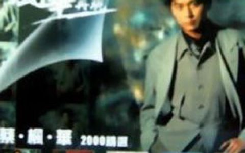 蔡枫华歌曲:突爆的火花歌词