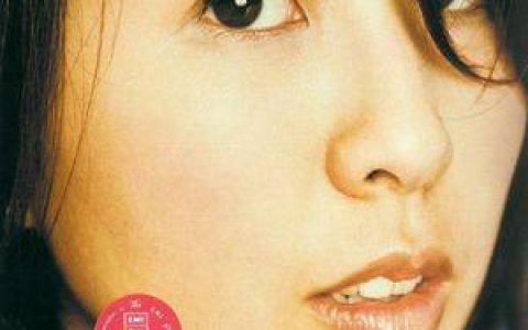 许茹芸歌曲:我只能爱你歌词