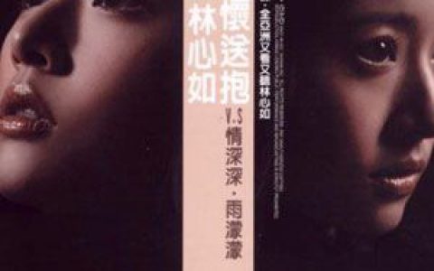 林心如歌曲:每一种男生歌词