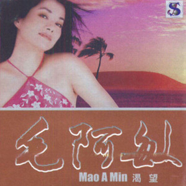 毛阿敏歌曲:思念歌词