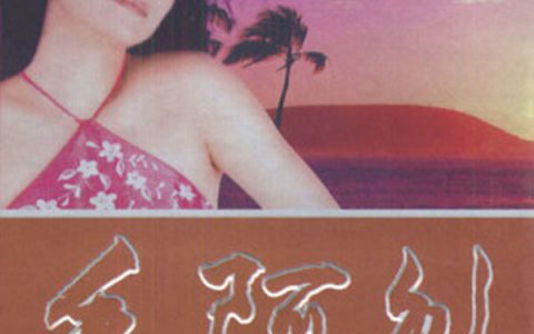 毛阿敏歌曲:女人不是月亮歌词