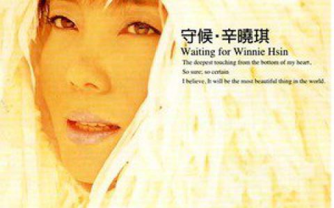辛晓琪歌曲:两两相忘歌词