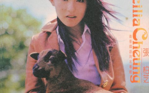 张柏芝歌曲:Ready For Love歌词