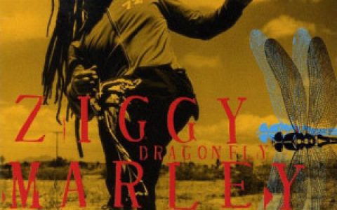 Ziggy Marley歌曲:Shalom salaam歌词