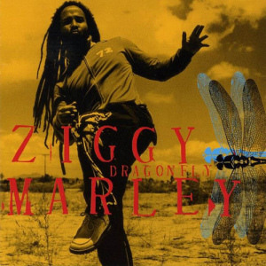 Ziggy Marley歌曲:Shalom salaam歌词