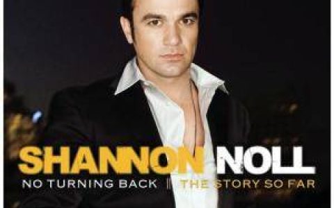 Shannon Noll歌曲:Learn To Fly歌词