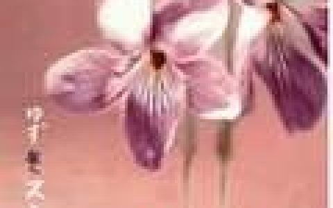 柚子歌曲:言えずのアイ.ライク.ユー歌词