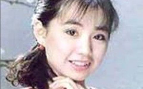 蔡幸娟歌曲:梦中人歌词