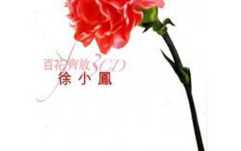 徐小凤歌曲:现在还算好？歌词