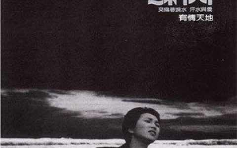 苏芮歌曲:能输多少歌词