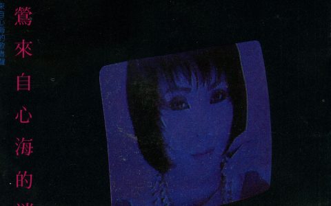 黄莺莺歌曲:我不在乎歌词