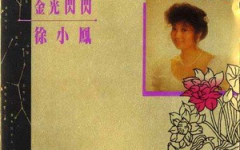 徐小凤歌曲:月色眼内浮歌词