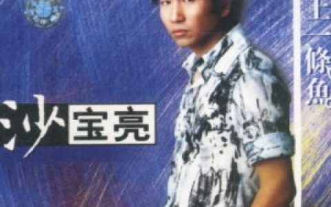 沙宝亮歌曲:只因为爱歌词