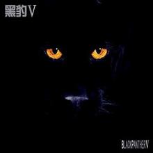 黑豹乐队歌曲:照亮我心 light up my heart歌词