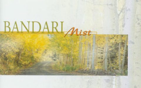 Bandari歌曲:The First Snowflakes歌词