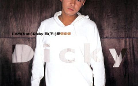 张卫健歌曲:少年梦歌词