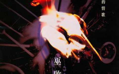 巫启贤歌曲:太傻歌词