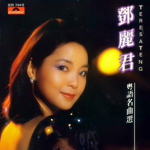 邓丽君歌曲:雪中情歌词