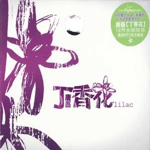 唐磊歌曲:丁香花歌词