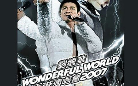 刘德华歌曲:我恨我痴心歌词