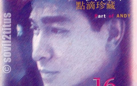 刘德华歌曲:真我的风采歌词