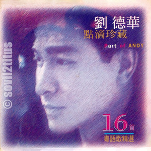 刘德华歌曲:真我的风采歌词